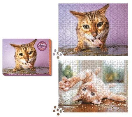 Cats on Catnip 2-in-1 Double-Sided 1,000-Piece Puzzle 1