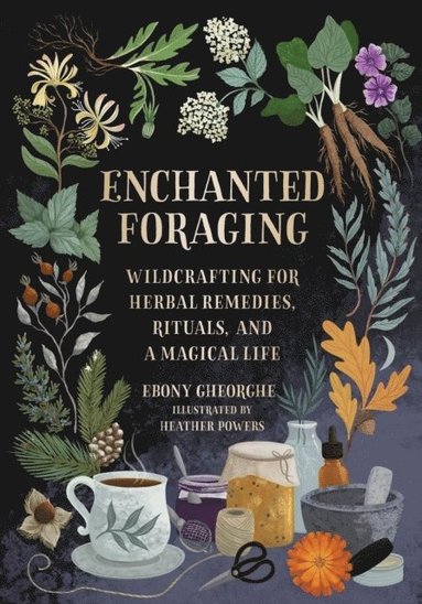 bokomslag Enchanted Foraging