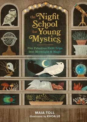 The Night School for Young Mystics 1