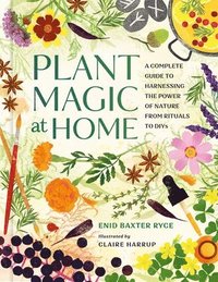 bokomslag Plant Magic at Home: A Complete Guide to Harnessing the Power of Nature from Rituals to Diys