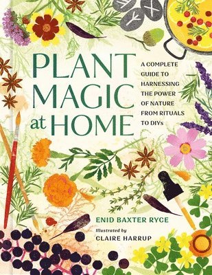 bokomslag Plant Magic at Home: A Complete Guide to Harnessing the Power of Nature from Rituals to Diys