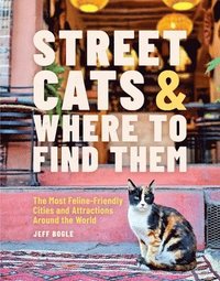 bokomslag Street Cats & Where to Find Them
