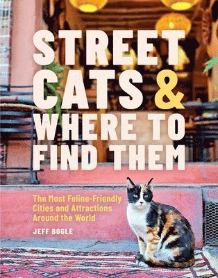 bokomslag Street Cats & Where to Find Them: The Most Feline-Friendly Cities and Attractions Around the World