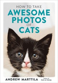 bokomslag How to Take Awesome Photos of Cats