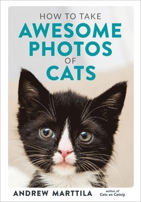 bokomslag How to Take Awesome Photos of Cats