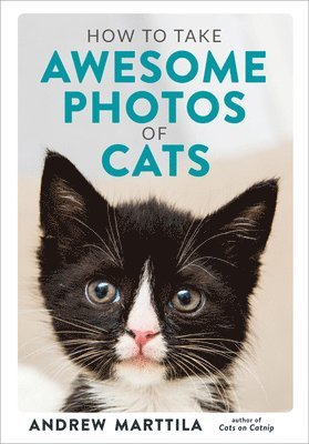 Andrew Marttila - How to Take Awesome Photos of Cats, Inbunden