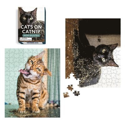 Cats on Catnip Mini Puzzles 1