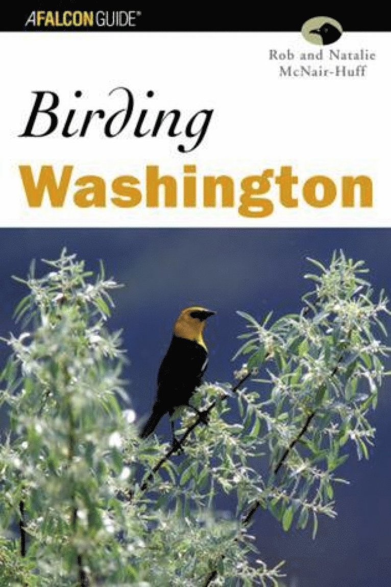 Birding Washington 1