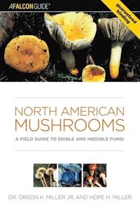 bokomslag North American Mushrooms