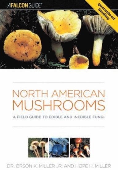 bokomslag North American Mushrooms