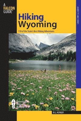 bokomslag Hiking Wyoming