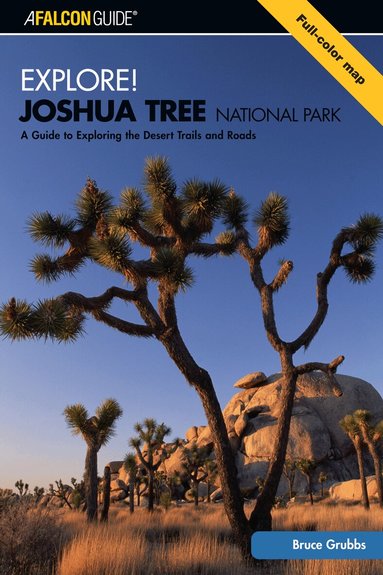 Bruce Grubbs - Explore! Joshua Tree National Park, Häftad