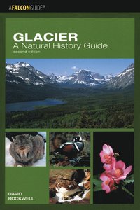 bokomslag Glacier: A Natural History Guide