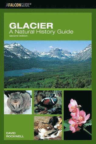 bokomslag Glacier: A Natural History Guide