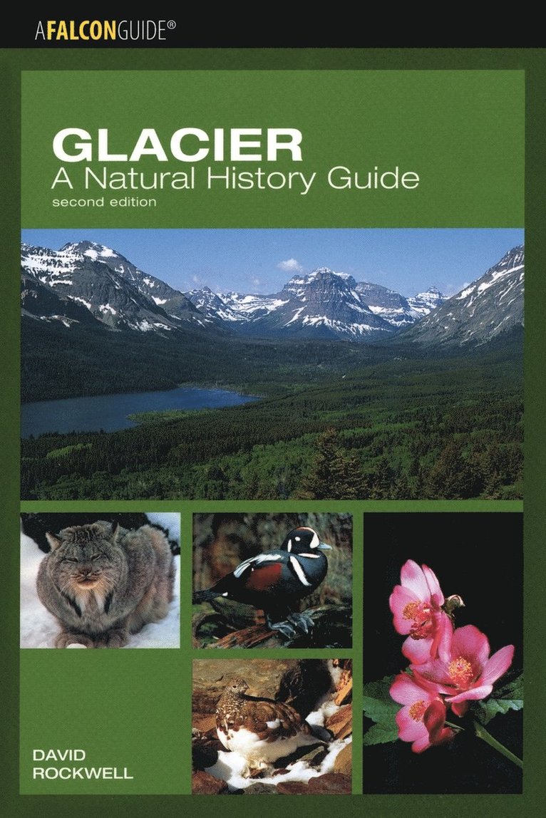 Glacier: A Natural History Guide 1