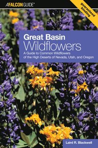 bokomslag Great Basin Wildflowers