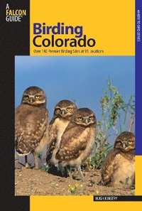 bokomslag Birding Colorado
