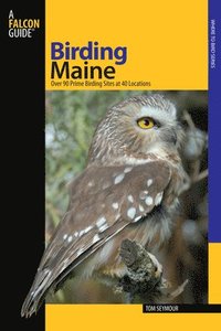 bokomslag Birding Maine