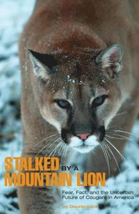 bokomslag Stalked by a Mountain Lion