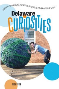 bokomslag Delaware Curiosities
