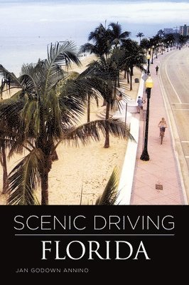 Jan Annino - Scenic Driving Florida, Häftad