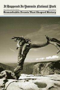 bokomslag It Happened in Yosemite National Park