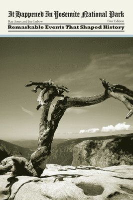 bokomslag It Happened in Yosemite National Park