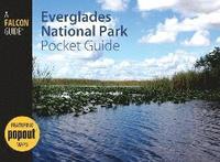 bokomslag Everglades National Park Pocket Guide