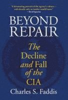 bokomslag Beyond Repair
