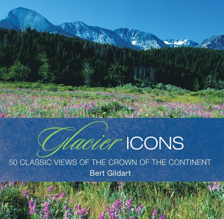 Glacier Icons
