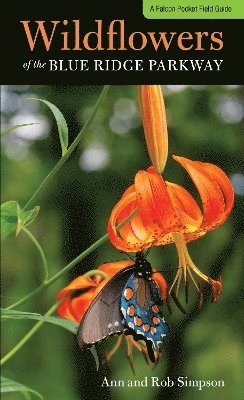 Wildflowers of the Blue Ridge Parkway 1