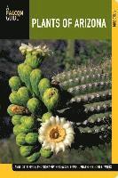 bokomslag Plants of Arizona