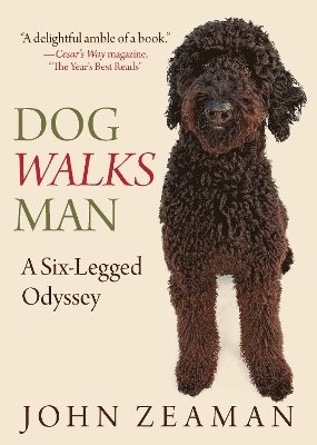 bokomslag Dog Walks Man