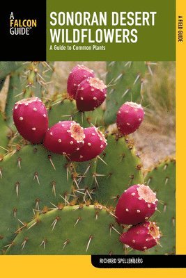 bokomslag Sonoran Desert Wildflowers