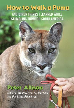 Peter Allison - How to Walk a Puma, Häftad