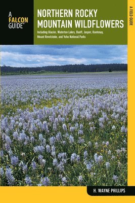 Northern Rocky Mountain Wildflowers 1