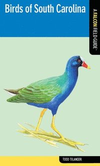 bokomslag Birds of South Carolina