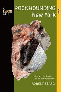 bokomslag Rockhounding New York