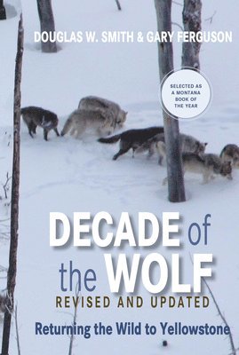 bokomslag Decade of the Wolf, Revised and Updated: Returning the Wild to Yellowstone