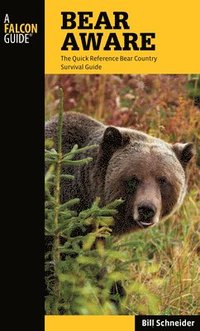 bokomslag Bear Aware