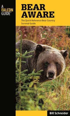 bokomslag Bear Aware