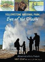 bokomslag Yellowstone National Park: Eye of the Grizzly