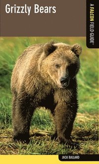 bokomslag Grizzly Bears