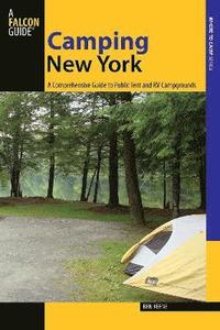 bokomslag Camping New York