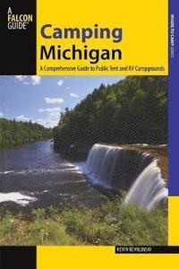 bokomslag Camping Michigan