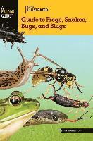 bokomslag Basic Illustrated Guide to Frogs, Snakes, Bugs, and Slugs