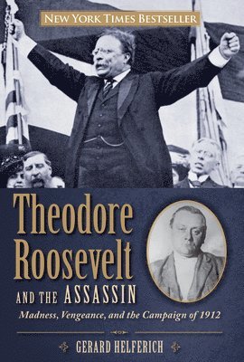 bokomslag Theodore Roosevelt and the Assassin