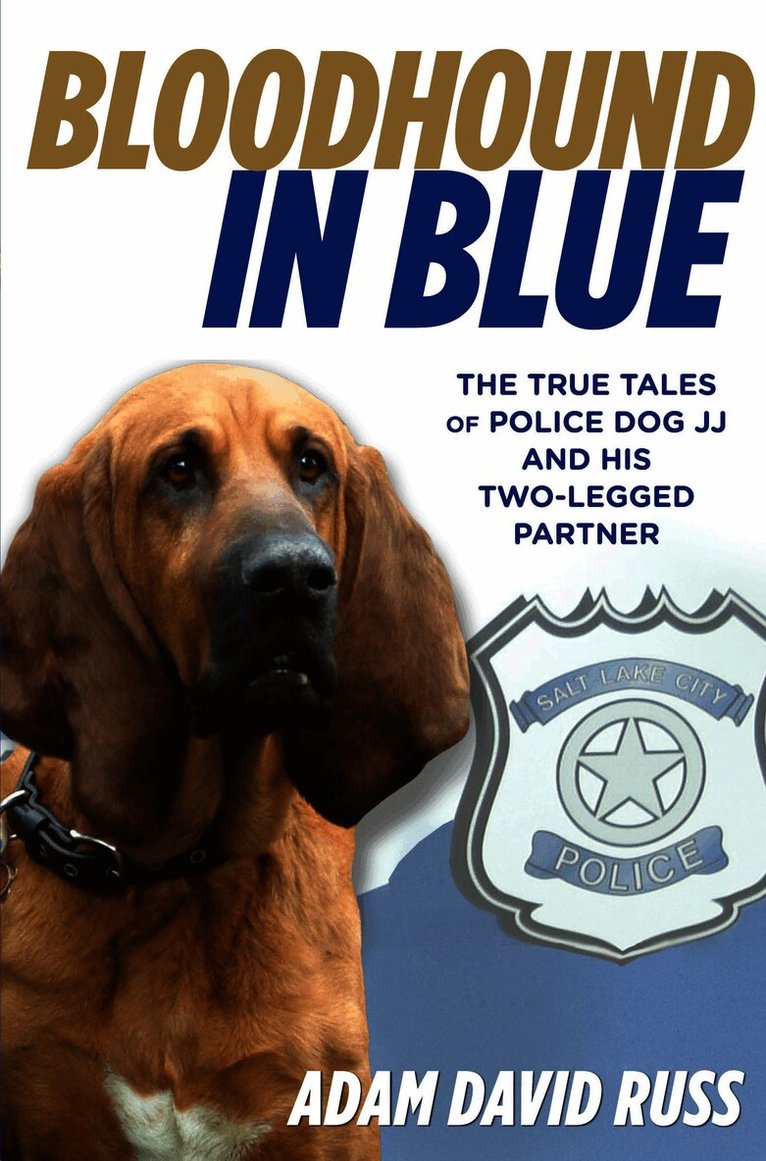 Bloodhound in Blue