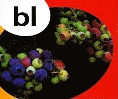 Beverley Randell - Bl, Häftad