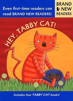 bokomslag Hey, Tabby Cat!